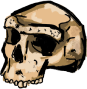 Skull