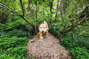 Sabre-tooth tiger | Kents Cavern, Devon