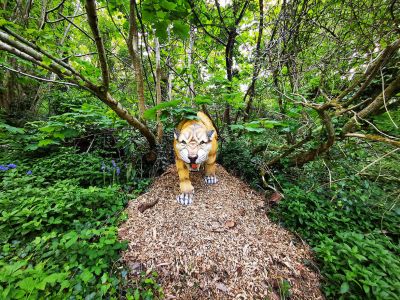 Sabre-tooth tiger | Kents Cavern, Devon