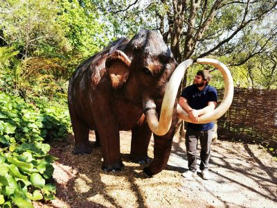 Mammoth statue in the Woodland Trail | Kents Cavern, Devon