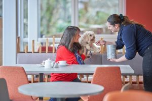 Dog friendly café at Kents Cavern, Torquay