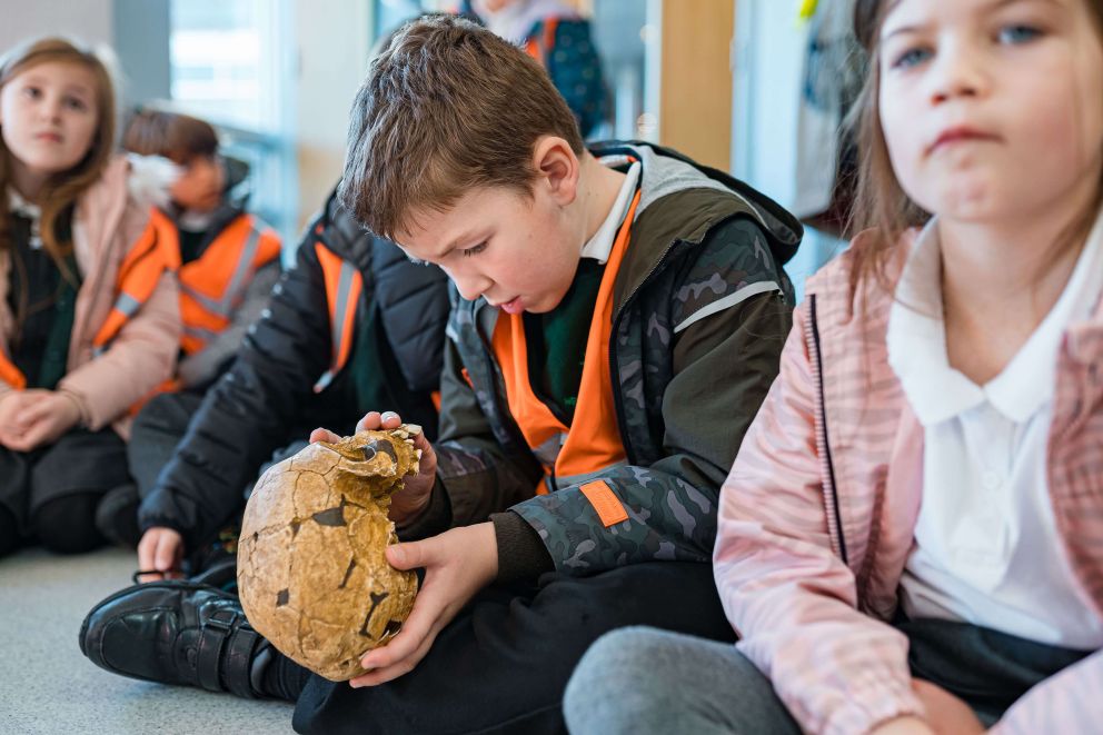 Child looking at a skull replica | Kents Cavern, Torquay