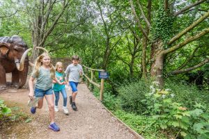 Woodland Trail | Kents Cavern, Devon