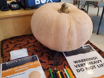 Giant pumpkin competition, Kents Cavern, Torquay