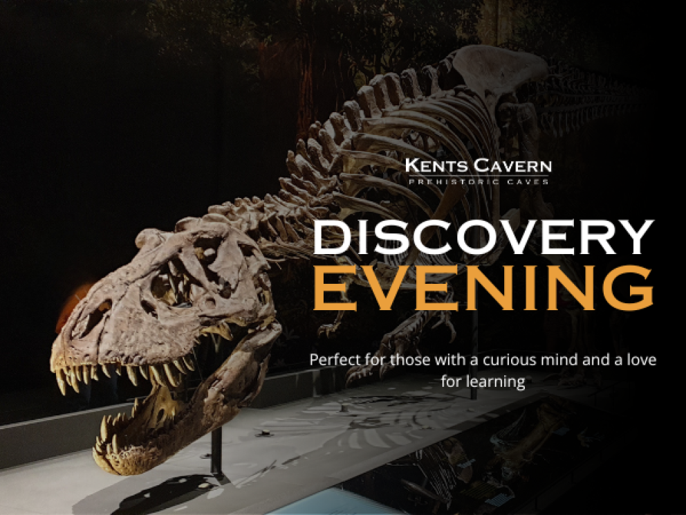 discovery evening how to build a dinosaur