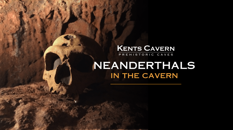 Neanderthals in the Cavern