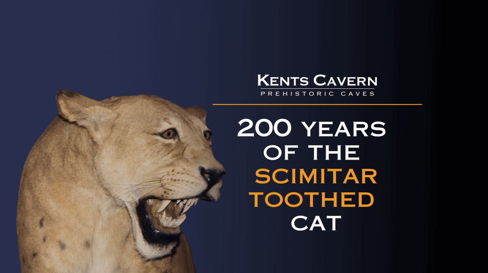 200 years of scimitar cat 2