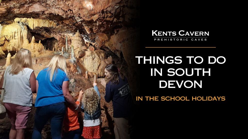 Things to do in South Devon in the school holidays