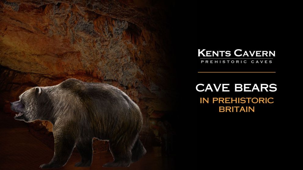 Cave Bears in Prehistoric Britain
